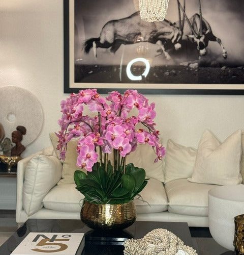 Light Pink Phalaenopsis Orchids Floral Arrangement in Medium Gold Planter