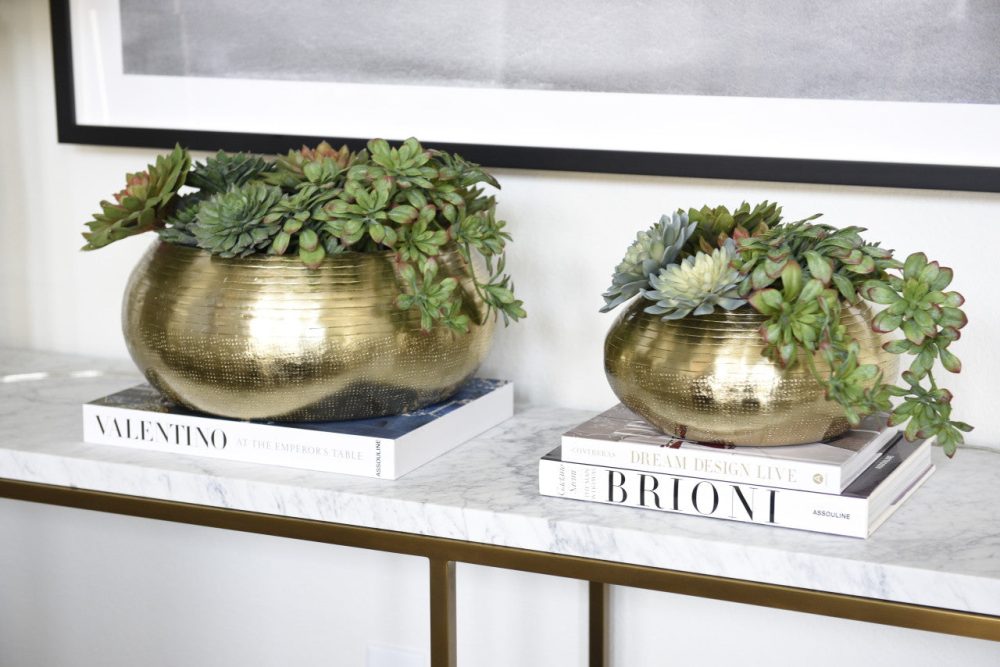 Bowie bowl S with succulents - Image 3