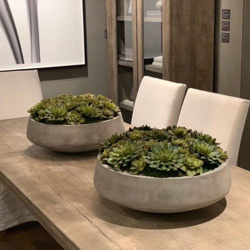 Newport bowl XL with succulents