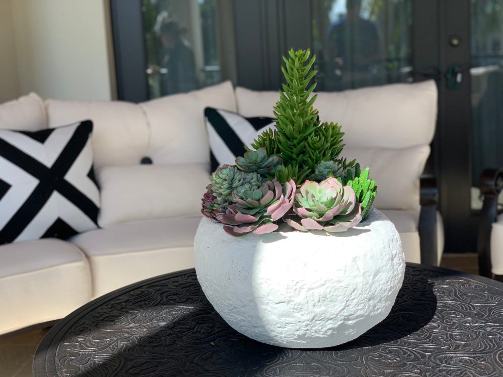 Tahiti bowl with mixed succulents(Out of Stock) - Image 3