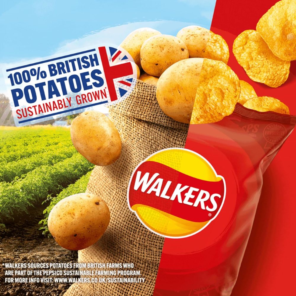Crisps Variety Box | Pack of 66 x 25g - Big Box | Cheese & Onion, Ready Salted, Salt & Vinegar, Prawn Cocktail - Image 2