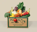 Quick organic veg box – large