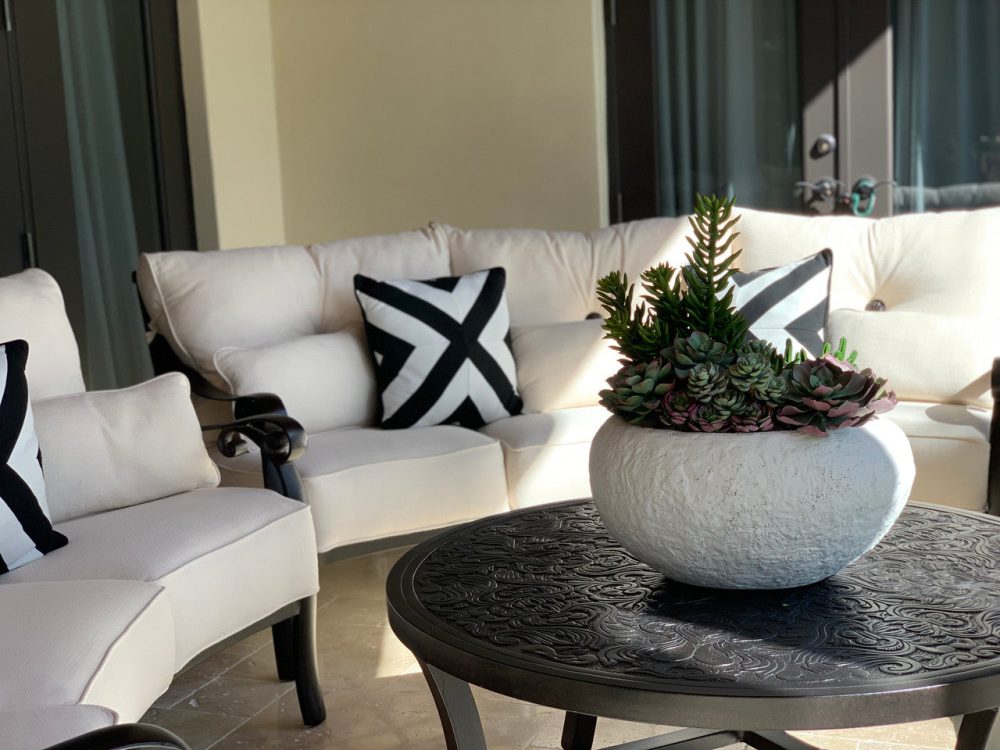 Tahiti bowl with mixed succulents(Out of Stock) - Image 4